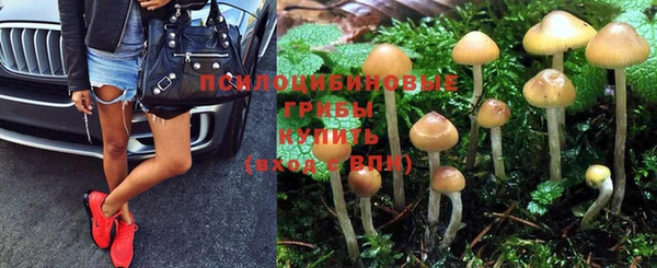 гашик Балашиха