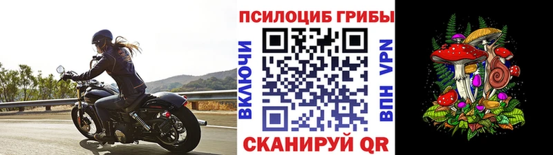 Галлюциногенные грибы мухоморы  blacksprut   Абаза 